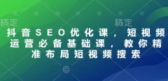 抖音SEO优化课,短视频运营必备基础课,教你精准布局短视频搜索