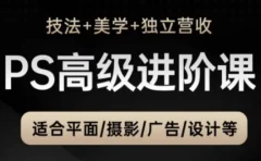 TDn老师·PS高级后期进阶课(技法+美学+独立营收),适合平面摄影广告设计等