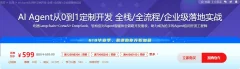 AI Agent从0到1定制开发 全栈/全流程/企业级落地实战