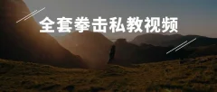 全套拳击私教视频 武术搏击