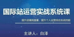 白老师·国际站运营实战系统(高质量询盘增长课)(部分更新)