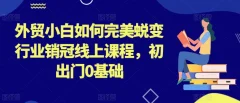 外贸小白如何完美蜕变行业销冠线上课程,初出门0基础