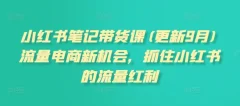 张宾·小红书笔记带货课(更新2026)