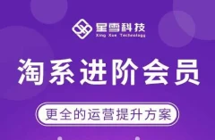 星雪·淘系进阶课程,快速提升突破技能流量瓶颈必备(更新2023年5月)
