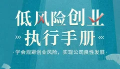 低风险创业执行手册-学会规避创业风险,实现公司良性发展