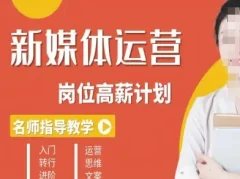 新媒体运营高薪升核培养计划,入门-转行-进阶