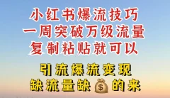 小红书爆流技巧,一周突破万级流量,复制粘贴就可以,引流爆流变现