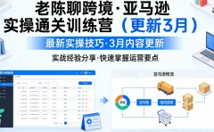 老陈聊跨境·亚马逊实操通关训练营(更新4月)