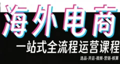 Demo老师·东南亚5国TikTok Shop运营课