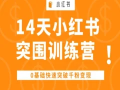 14天小红书突围训练营 ,0基础快速突破千粉变现