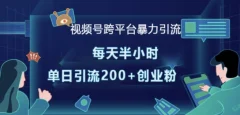 视频号跨平台暴力引流,每天半小时,单日引流200+精准创业粉