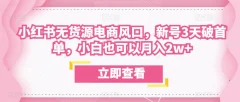 众狼电商余文小红书无货源电商风口,新号3天破首单,小白也可以月入2w+