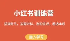 小红书训练营,搭建账号,选题对标,涨粉变现,看透本质