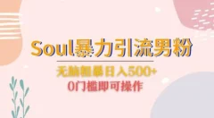 Soul暴力引流男粉玩法,无脑粗暴日入500+,0门槛即可操作