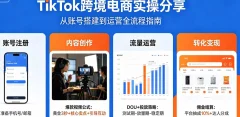 Tiktok跨境电商实操分享