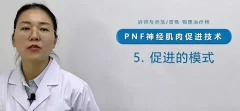 【物理治疗】PNF本体感觉神经肌肉促进技术