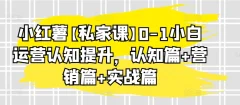 小红薯私家课0-1小白运营认知提升,认知篇+营销篇+实战篇