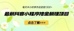 最新抖音小程序撸金躺赚项目,一部手机每天半小时,单个作品变现1300+