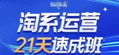 淘系运营21天速成班(更新24年9月),0基础轻松搞定淘系运营,不做假把式