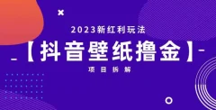 抖音壁纸小程序创作者撸金项目,2023新红利玩法