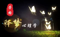 荣格原型释梦分析心理学20讲