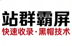 SEO野路子实战全集:快速收录、站群霸屏、黑帽技术(更新)