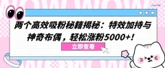 两个高效吸粉秘籍揭秘:轻松涨粉5000+