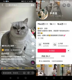AI技术让动物“开口说话”全程手机操作涨粉10W+,小白轻松上手