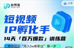 瑶瑶·自然流IP孵化手第九期,短视频IP孵化手,14天百万爆款训练营