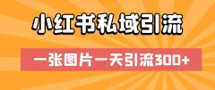 小红书私域引流,一张图片一天引流300+