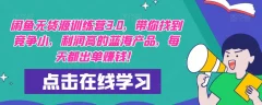 闲鱼无货源训练营3.0,带你找到竞争小,利润高的蓝海产品,每天都出单赚钱!
