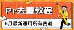 2023年6月最新Pr深度去重适用所有赛道,一套适合所有赛道的Pr去重方法