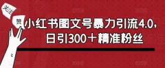 小红书图文号暴力引流4.0,日引300+精准粉丝【揭秘】