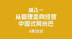 胡八一-从管理走向经营-中国式阿米巴(4集)