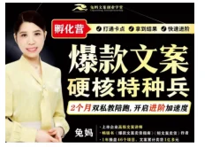 兔妈『爆款文案硬核特种兵孵化营』(超硬核)