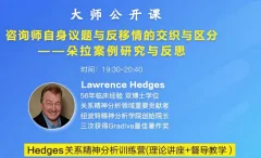 Hedges详解针对4种不同发展水平来访的关系精神分析透视法