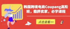韩国跨境电商Coupang高阶班,酷胖卖家,必学课程