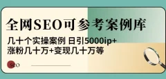 白杨全网SEO可参考案例库,几十个实操案例日引5000ip+涨粉百W+变现几十W等!