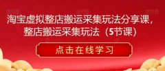 淘宝虚拟整店搬运采集玩法分享课,整店搬运采集玩法(5节课)