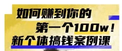 群响新个体钱搞案例库,可直以接抄作业的新体个搞钱案例库,如何赚到你的第一个100w