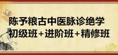 陈予粮 古中医脉诊绝学初级班+进阶班+精修班 60G