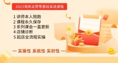 淘系电商课程,0基础实战教学,实操性系统性实时性