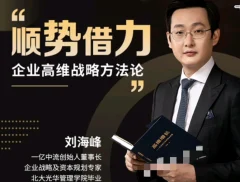 刘海峰 高维战略顺势篇_ 商界大讲堂 顺势借力3.0(29节)