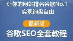 谷歌SEO实战教程:如何让你的网站在谷歌排名第一,内容从入门到高阶,适合个人及团队