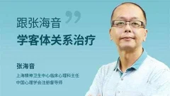 跟张海音学客体关系治疗 网络课程10讲高清视频