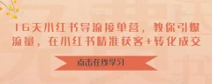 16天小红书导流接单营,教你引爆流量,在小红书精准获客+转化成交