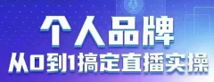 个人品牌:从0到1搞定直播实操,用直播为你的个人品牌赋能,六大实操板块,放大个人影响力