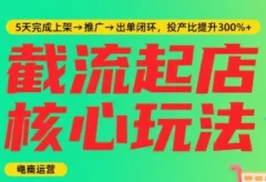 淘宝截流快速起店玩法,掌握暴力快速起店的流程,5天完成上架-推广-出单闭环