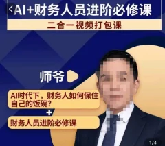 AI+财务人员进阶必修课二合一视频打包课,财务人员进阶必修课