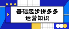 纪主任 基础起步拼多多运营知识一手掌握,价值499元